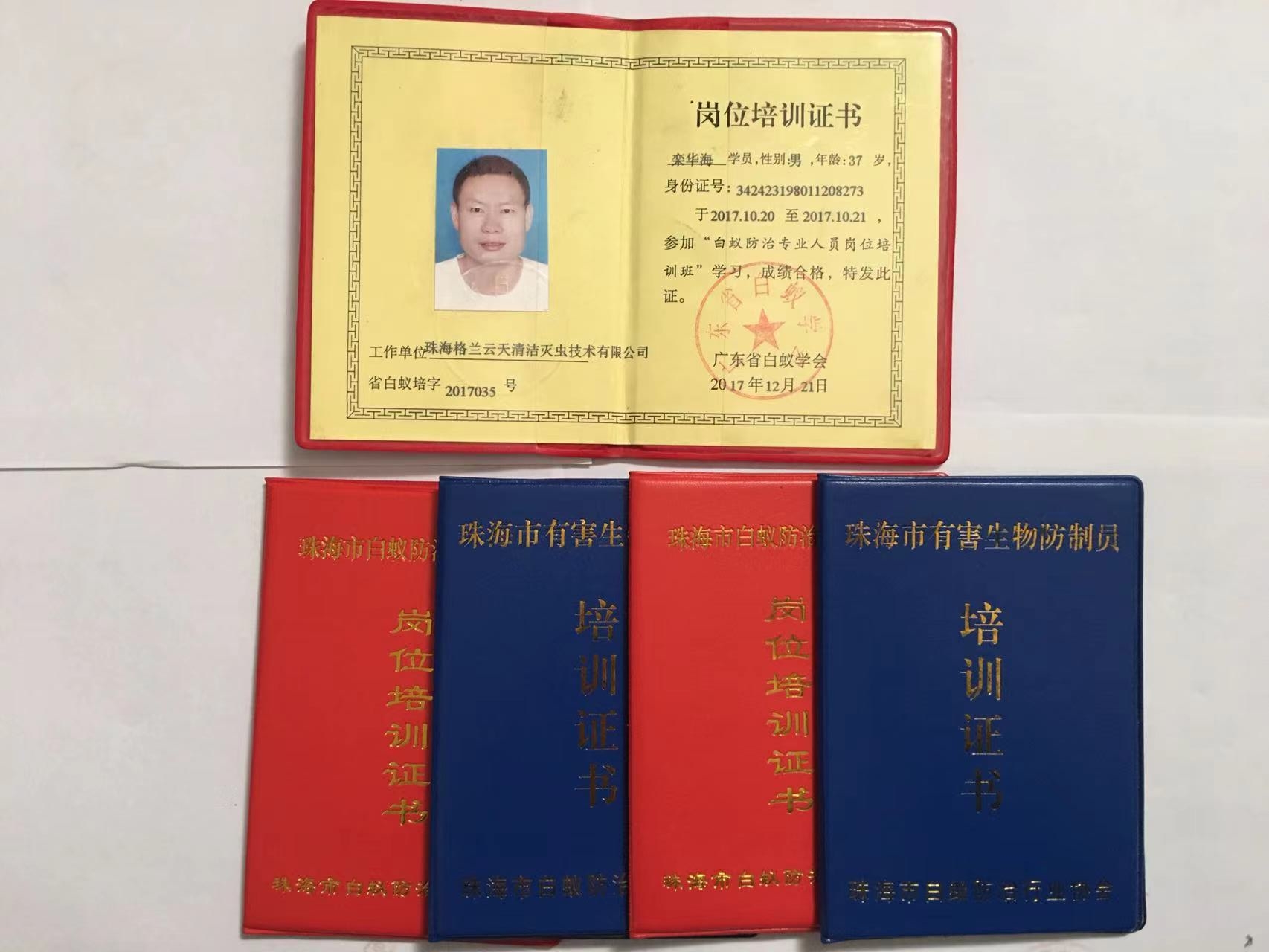 珠海市白蟻防治持證上崗專(zhuān)業(yè)級防治公司