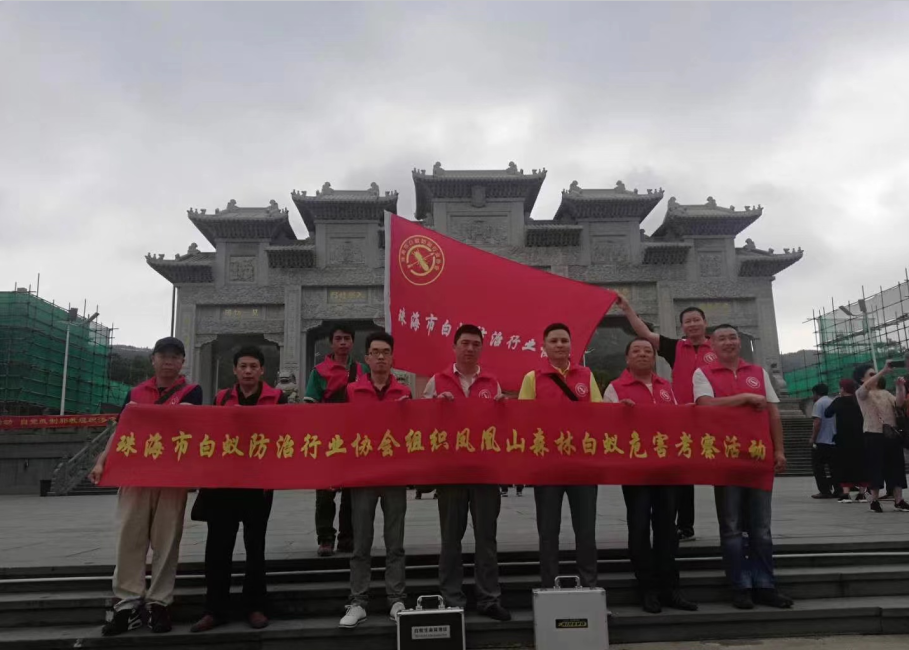 珠海專(zhuān)業(yè)滅白蟻-認準珠海白蟻防治中心 珠
