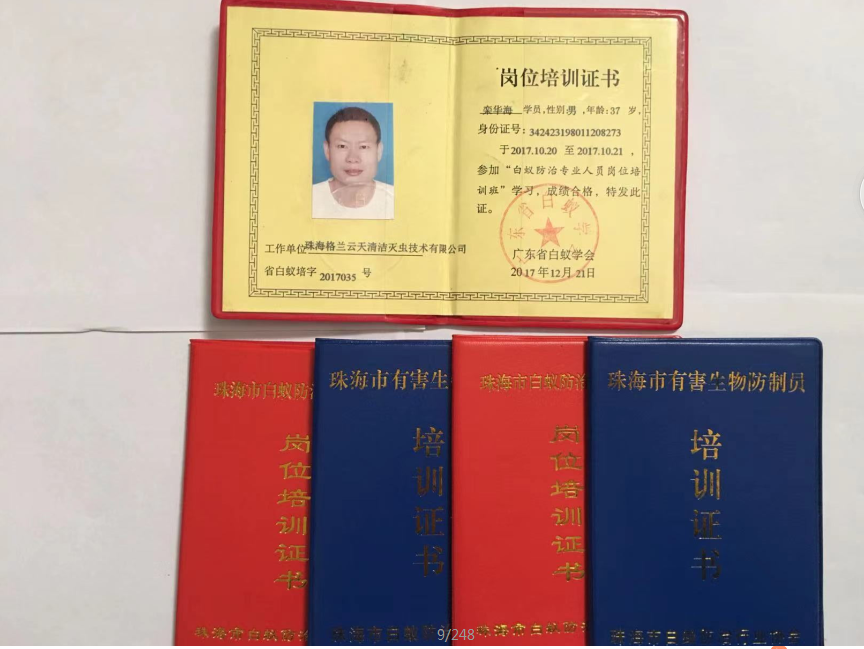 白蟻防治 _白蟻防治公司_殺蟲(chóng)滅鼠-珠海