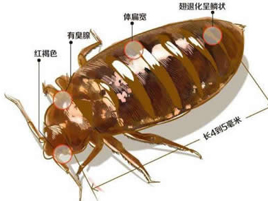 珠?？焖贉鐨⒊粝x(chóng)服務(wù)