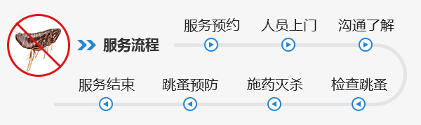 香洲區跳蚤防制 香洲區滅殺跳蚤 香洲區快