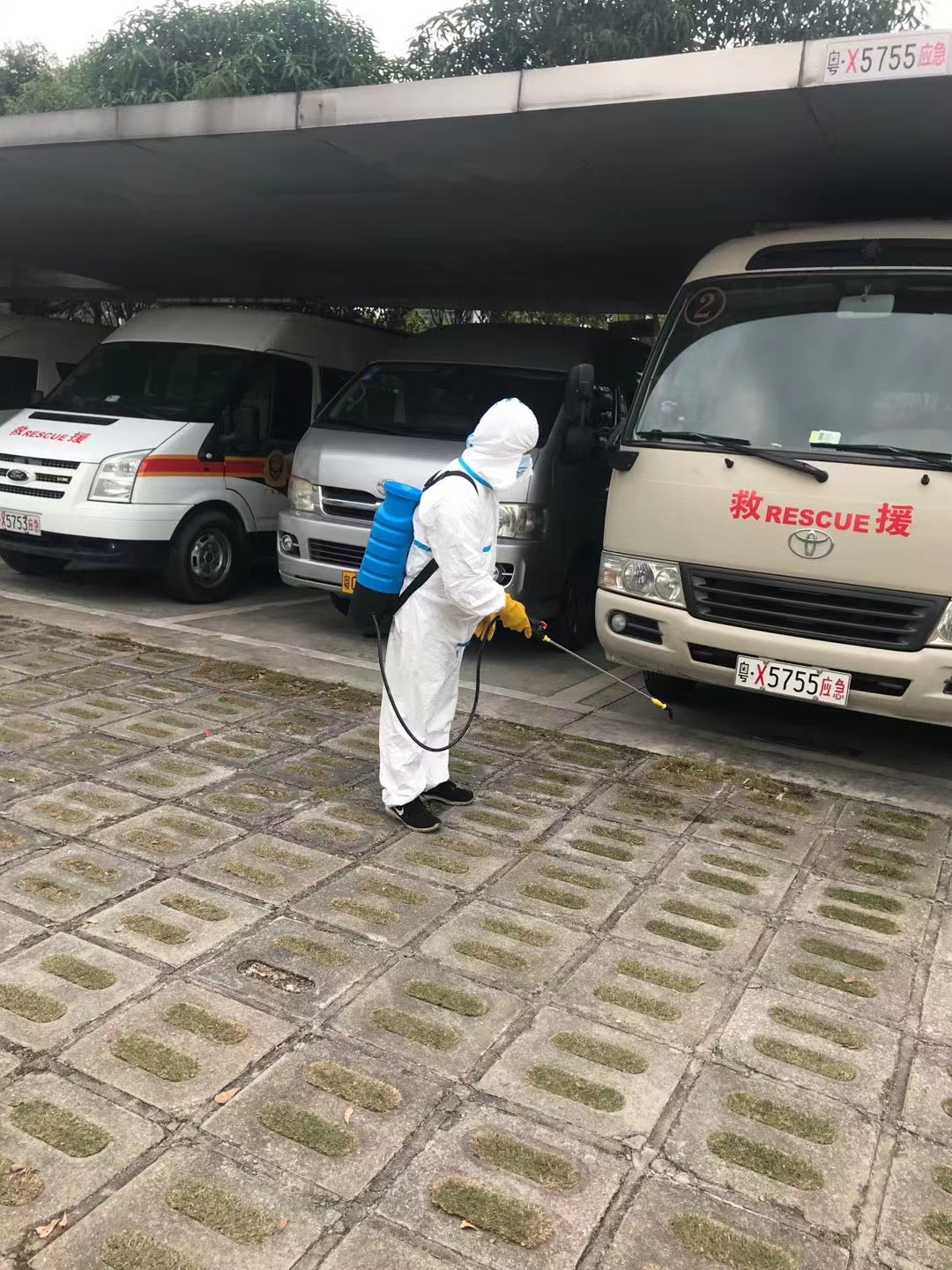 金灣區白蟻防治_金灣區殺蟲(chóng)滅鼠公司_金灣