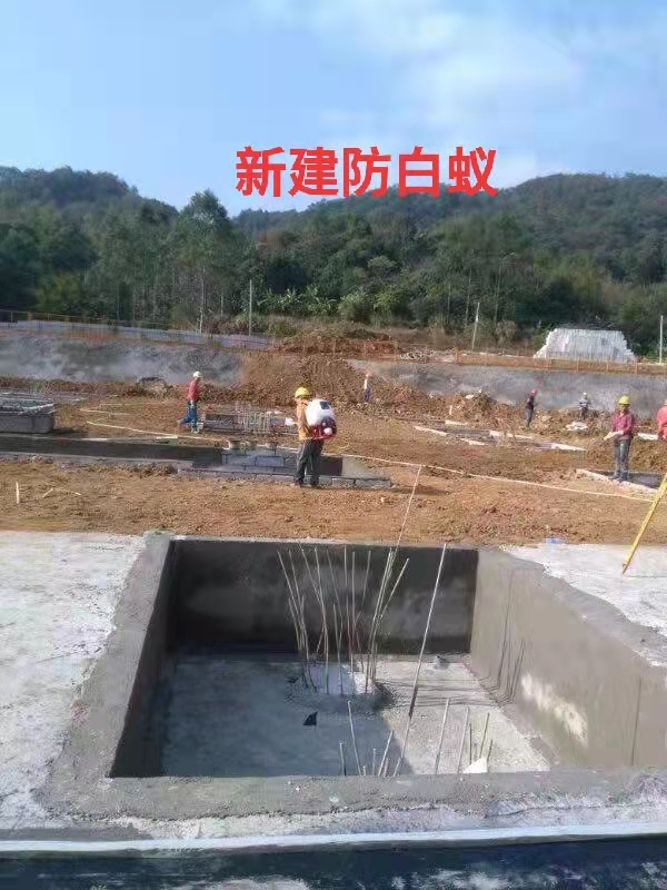 海豐縣賓館白蟻防治防治中心