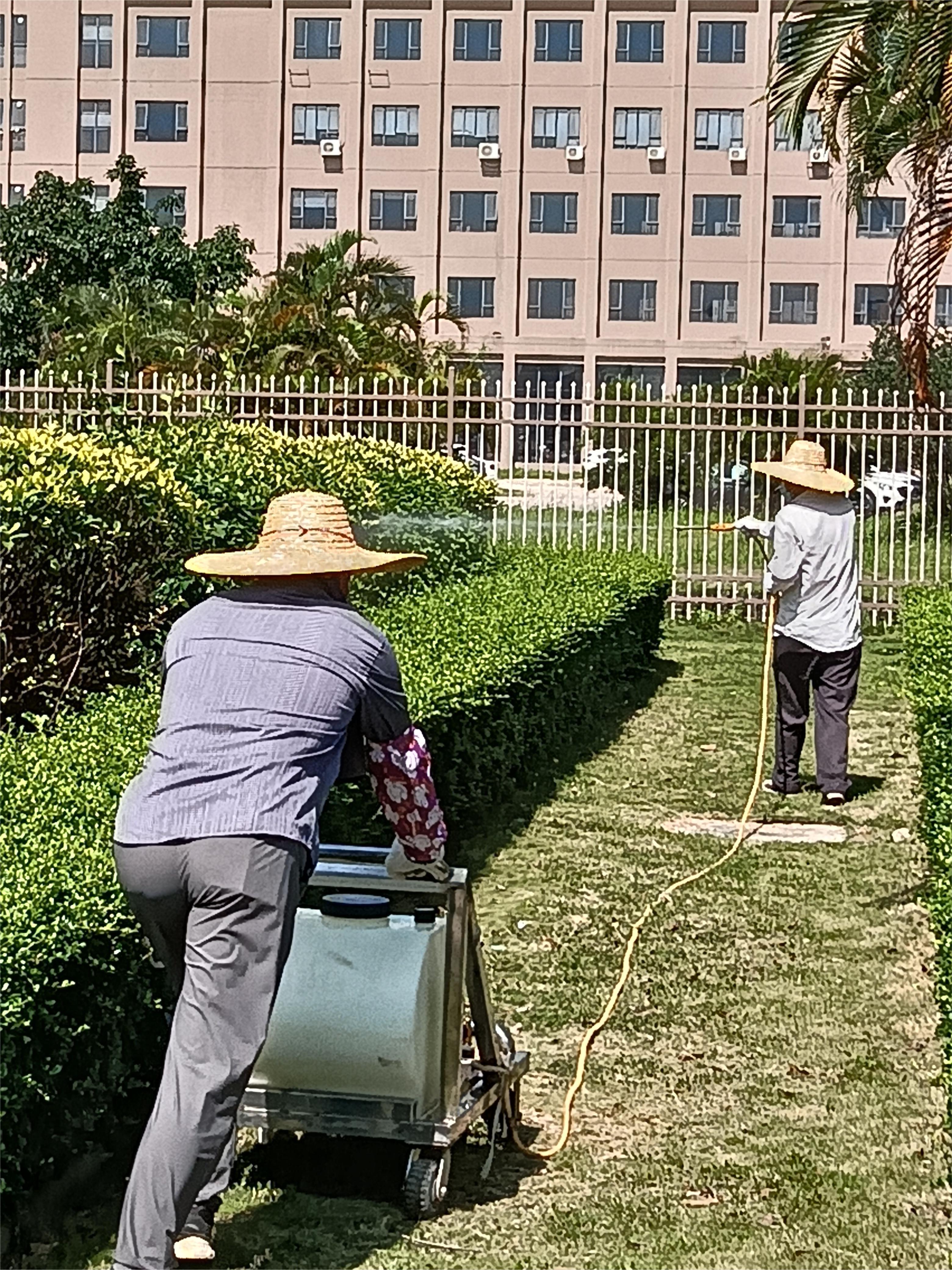 拱北白蟻防治 拱北殺蟲(chóng)滅鼠 拱北消殺公司