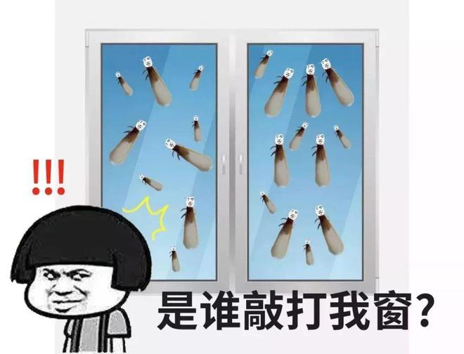 大漲水蟻 大水蟻 白螞蟻
