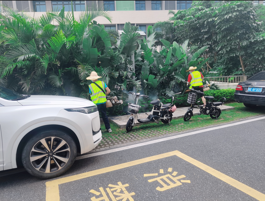 珠海登革熱的預防和滅殺控制的工藝流程