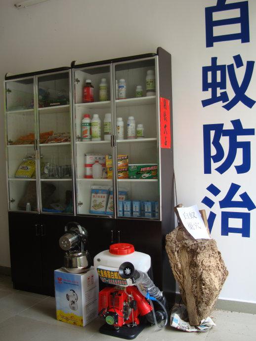 珠海白蟻中心告訴你如何根治白蟻