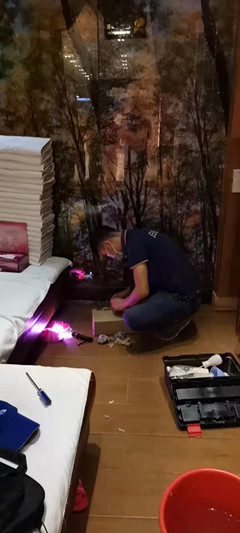 珠海白蟻公司分享最簡(jiǎn)單有效的方法
