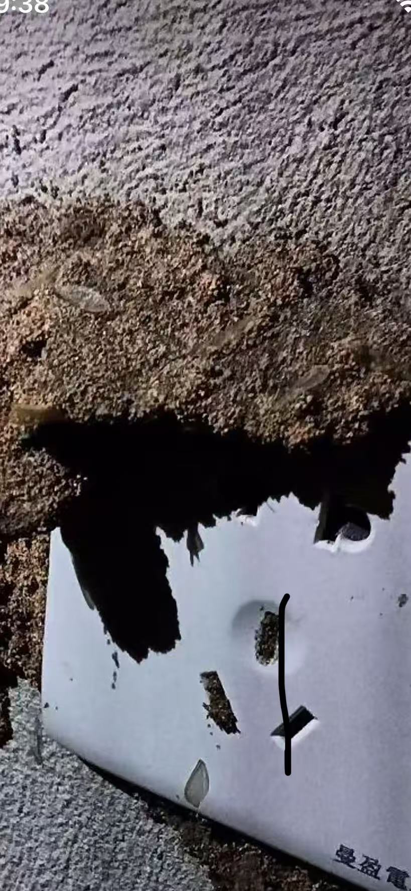 如何發(fā)現珠海自己家庭白蟻 如何發(fā)現珠海自己家庭白蟻